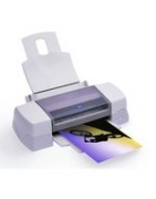 Encre Epson Stylus Photo 1290